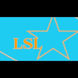 LINK STAR LOGISTICS CO., LTD. logo