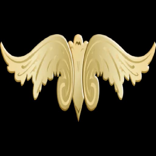 MIDDLEMEN TEAM INC.(Rocket Freight) logo