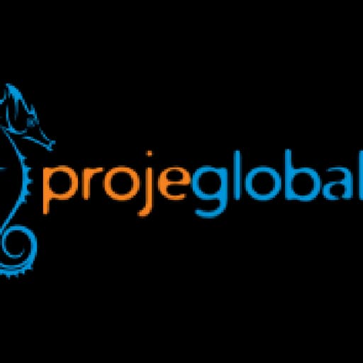 PROJEGLOBAL LOJISTIK VE DIS TICARET LIMITED SIRKETI logo