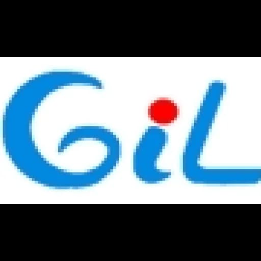 SHENZHEN GLORY INTERNATIONAL LOGISTICS CO.,LIMITED logo