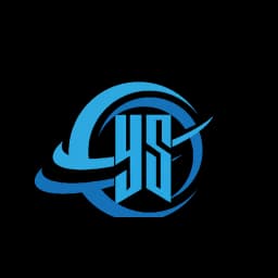 Shenzhen VG International Logistics Co.,Ltd logo