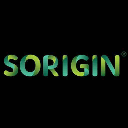 SORIGIN LOGISTICS SERVICES INDIA PRIVATE LIMITED logo