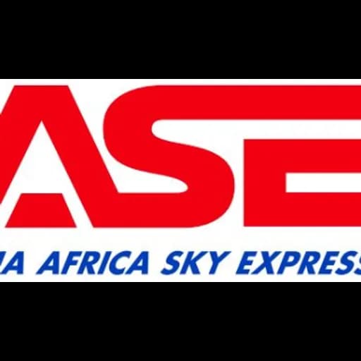 ASE ASYA AFRIKA HIZLI LOJISTIK SISTEMLERI AS logo