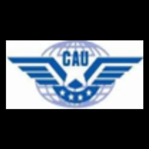 China air union Int'l Logistics Co.,Ltd. logo