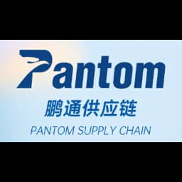 Dongguan Pantom Supply Chain Management Co.,Ltd. logo