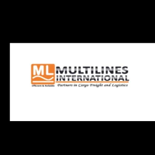MULTILINES INTERNATIONAL TANZANIA LIMITED logo