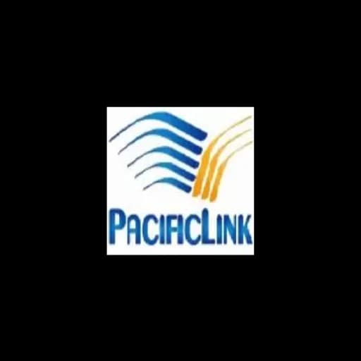 PACIFIC LINK INTERNATIONAL FREIGHT FORWARDING VIETNAM COMPANY LIMITED logo
