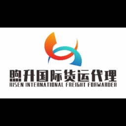 Shanghai Risen International logistics Co.,Ltd. logo