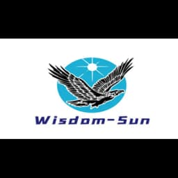 Foshan Wisdom-Sun International Logistics Co., Ltd. logo