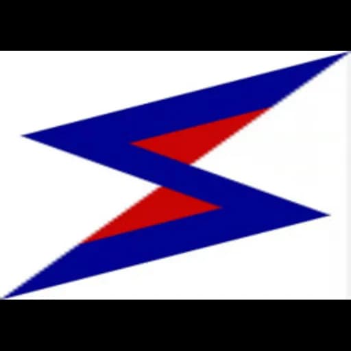 AE CARGO SERVICES (CHINA) LTD. logo