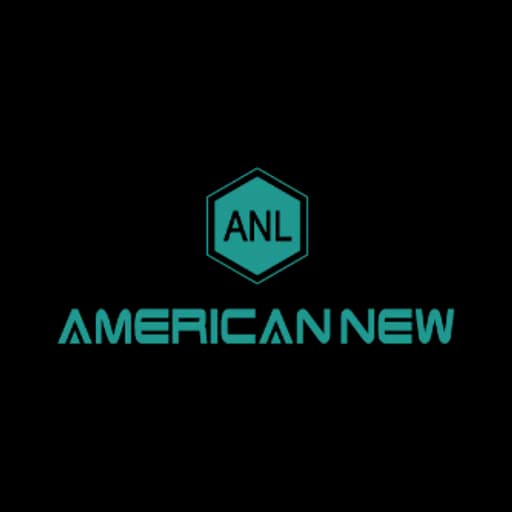 AMERICAN NEW LOGISTICS SERVICE COMPANY LIMITED logo