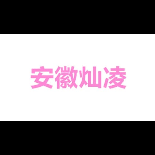 Anhui Shining Supply Chain Management Co.,Ltd logo