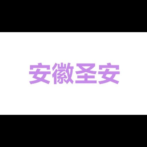 Anhui Sunon International Freight Co.,Ltd logo