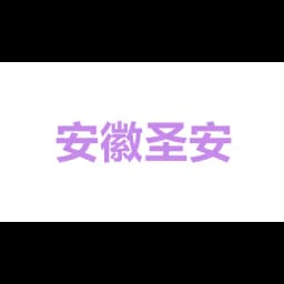 Anhui Sunon International Freight Co.,Ltd logo