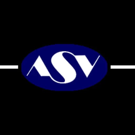 ASV Shipping L.L.C logo