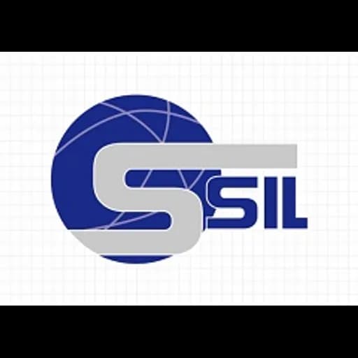 Beijing Solid Source International Logistics Co., Ltd logo