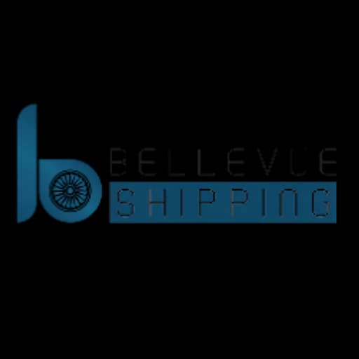 Bellevue International Logistics (Shenzhen) Co., Ltd logo