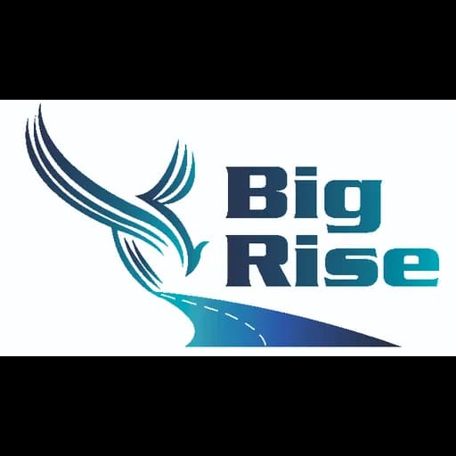 Big Rise forwarding and Logistic Co Ltd İstanbul Turkiye logo