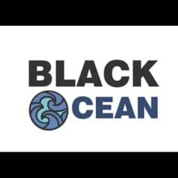 BLACK OCEAN LLC logo