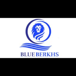 Blue Berkhs Shipping Private Limited logo