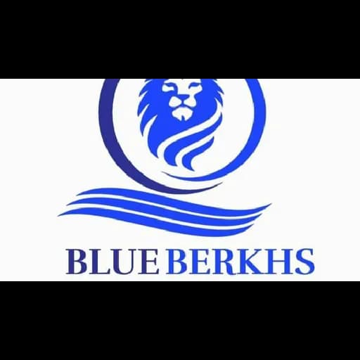 BLUE BERKHS SHIPPING PVT. LTD. logo