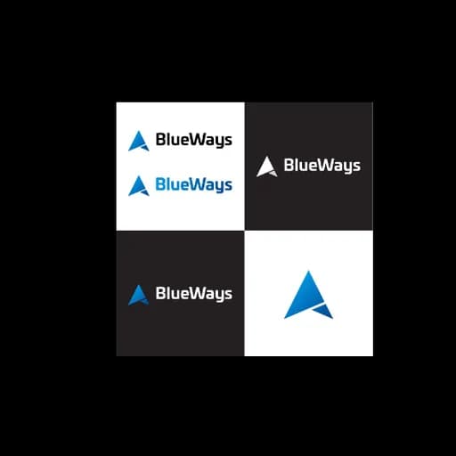 BLUEWAYS SEA SHIPPING L.L.C logo