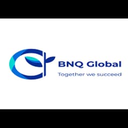 BNQ GLOBAL COMPANY LIMITED logo