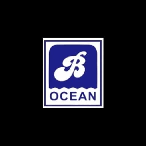 BRIGHT OCEAN MARITIME TRANSPORT CO.,LTD. logo