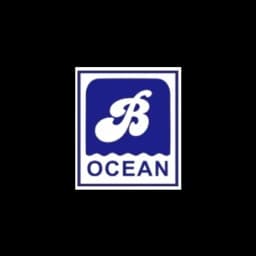 BRIGHT OCEAN MARITIME TRANSPORT CO.,LTD. logo