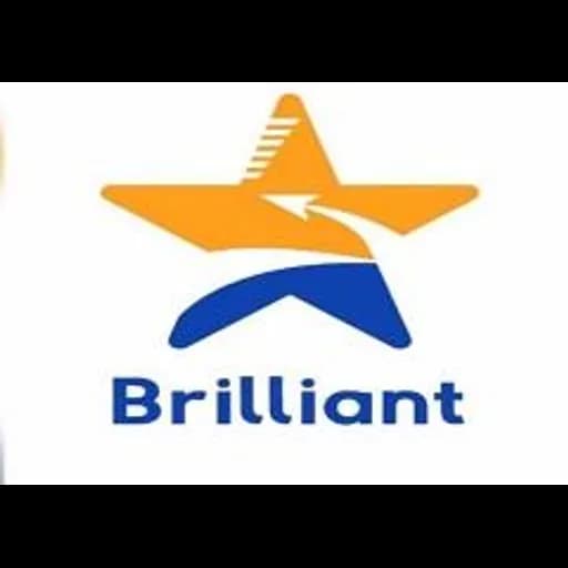 BRILLIANT STAR LOGISTICS SDN. BHD. logo