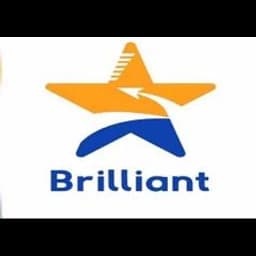 BRILLIANT STAR LOGISTICS SDN. BHD. logo