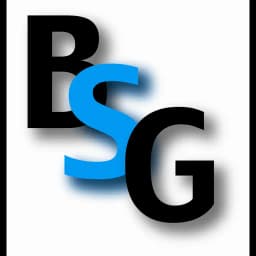 BSG Shanghai logo
