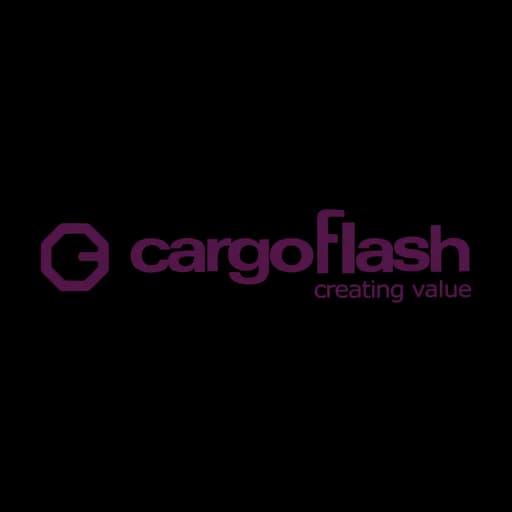 Cargoflash Infotech Pvt Ltd logo