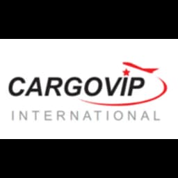 CARGOVIP INTERNATIONAL LIMITED logo