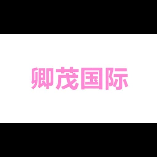 Chainmap Int'l Logistics (Shanghai) Co., Ltd. logo