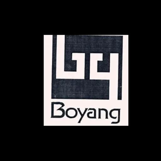 China Boyang Group Limited logo