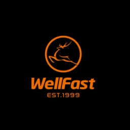CHINA WELLFAST LOGISTICS CO.,LTD logo
