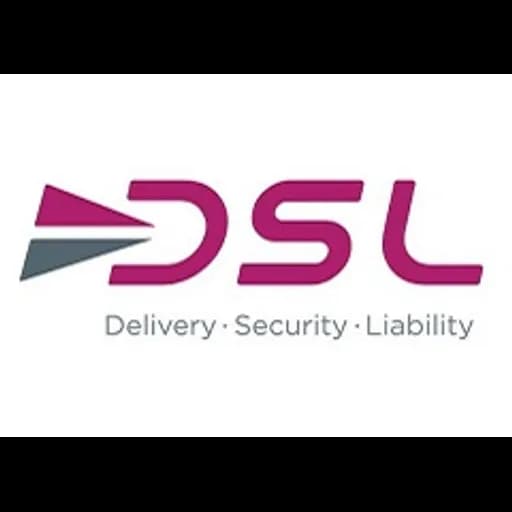 D.S.L. LLC logo