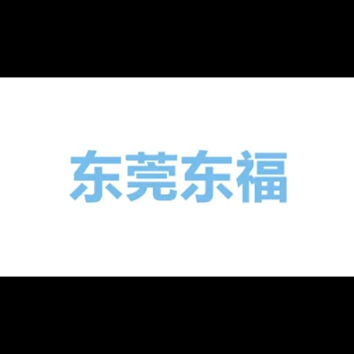 DFL Int'l Holding Co.,Ltd logo