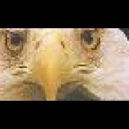 Eagle Eyes Shipping Limited logo