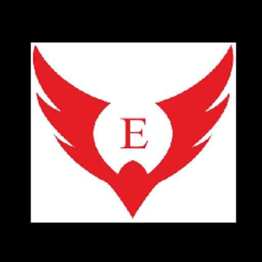 Eagle Shipping LLC logo