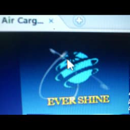 Ever Shine International Logistics logo