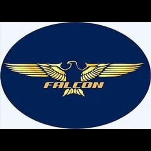 FALCON INDIA LINES PRIVATE LIMITED logo