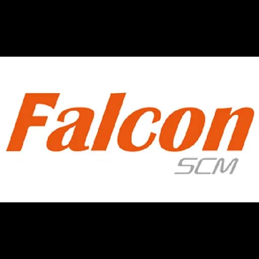 FALCON LOGISTICS (CHONGQING)CO.,LTD. logo