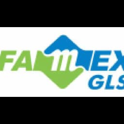 FAMEX GLS CO LTD logo