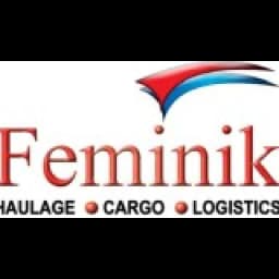 Feminik Logistics Ltd logo