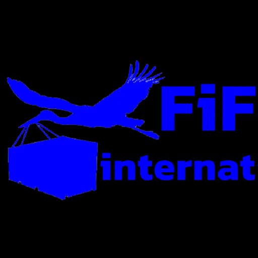 FIFFLE INTERNATIONAL COMPANY LIMITED logo