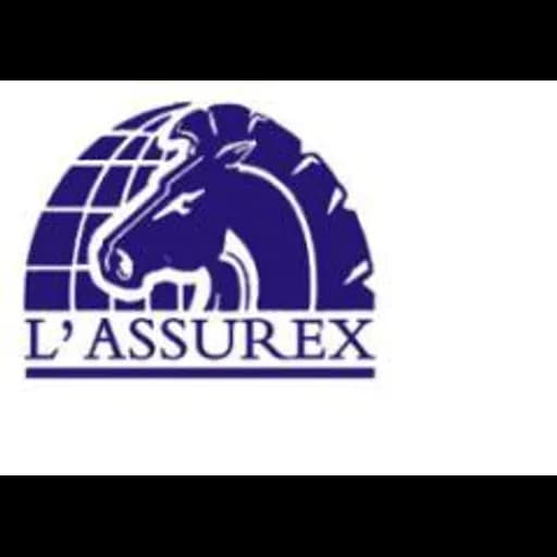 FUJIAN L'assurex INTERNATIONAL LOGISTICS CO.,LTD. logo