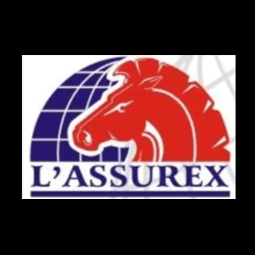 Fujian L'Assurex International Logistics Ltd logo