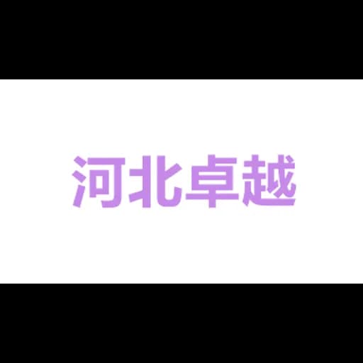 HEBEI EXCELLENCE INTERNATIONAL LOGISTICS CO.,LTD. logo